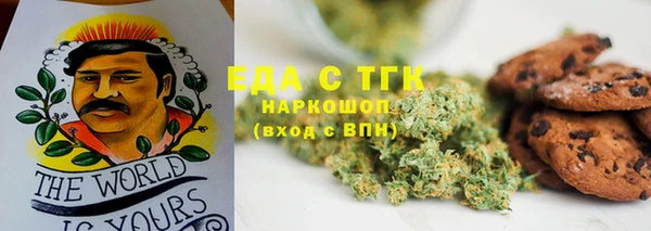 индика Бронницы