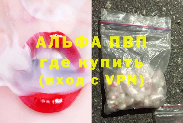 гашиш Богданович
