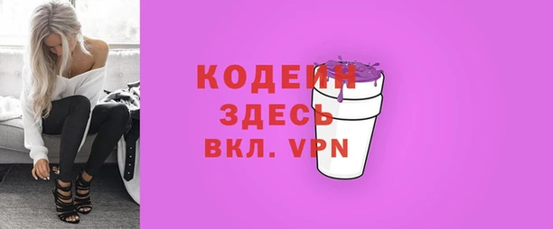 ешки Няндома
