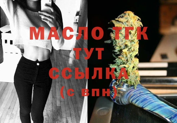 гашик Бородино