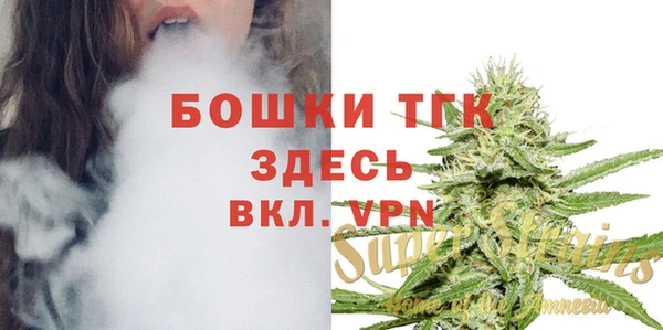 гашик Бородино