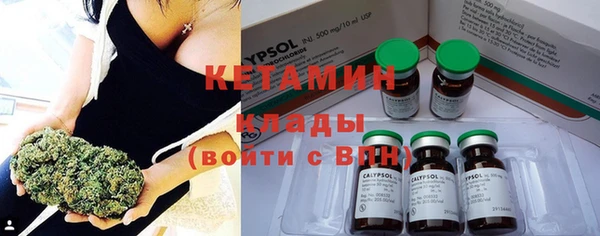индика Бронницы