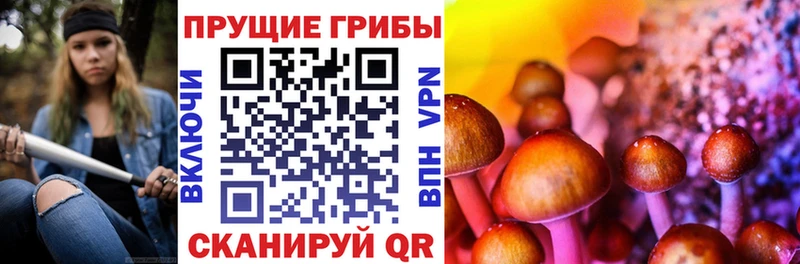 продажа наркотиков  Дальнереченск  Галлюциногенные грибы Psilocybe 